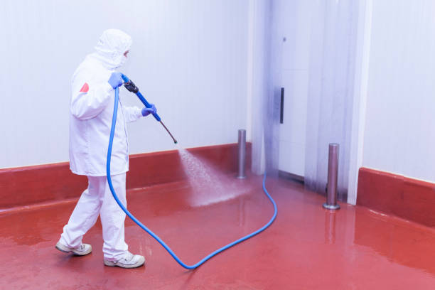 Best Rust Removal  in Glendale, MO